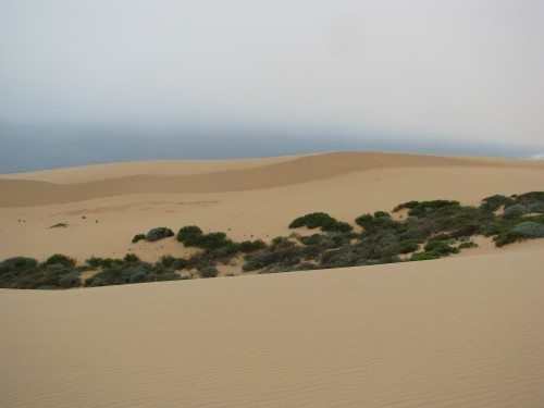 Guadalupe Dunes